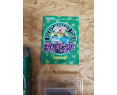 Pokemon Verde Game Boy Japon Pokemon Verde Game Boy Japon