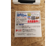 Vertical Force Virtual Boy Japón