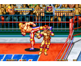 Fire Suplex Neo Geo AES Japón Fire Suplex Neo Geo AES Japón