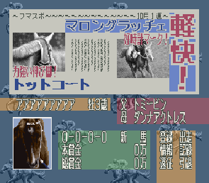 Leading Company Super Famicom Japón