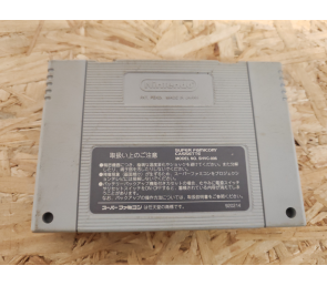 Volleyball Twin Super Famicom Japón