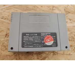 Zen-Nihon Pro Wrestling (全日本プロレス) Super Famicom Japón