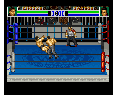 Zen-Nihon Pro Wrestling (全日本プロレス) Super Famicom Japón