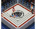Super Fire Pro Wrestling Super Famicom Japón