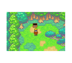 Naruto RPG Uketsugareshi Hi no Ishi GBA Japón Game Boy Advance