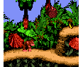 Donkey Kong 2001 Game Boy Color Japón